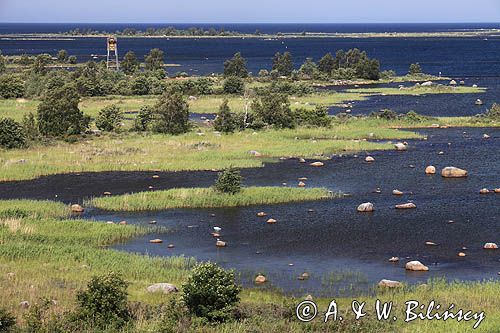 panorama z wieży widokowej Saltkaret koło Svedjehamn, Archipelag Kvarken, Finlandia, Zatoka Botnicka