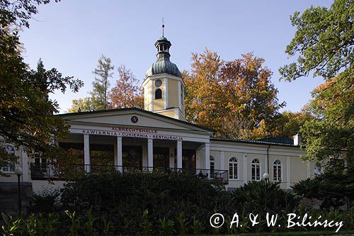 Lądek Zdrój, Albrechtshalle i Sanktuarium