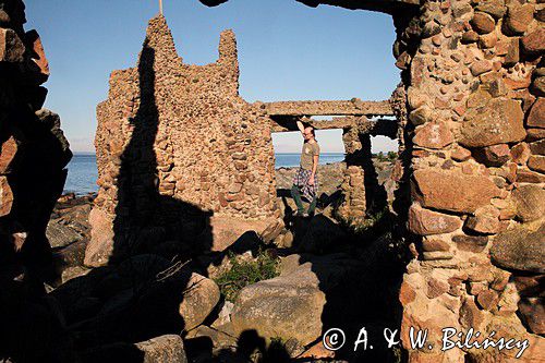 Arx, Ladonia, półwysep Kullen, Szwecja, Skania, Sund