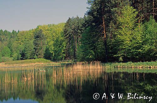 Łagowski Park Krajobrazowy, Pojezierze Łagowskie
