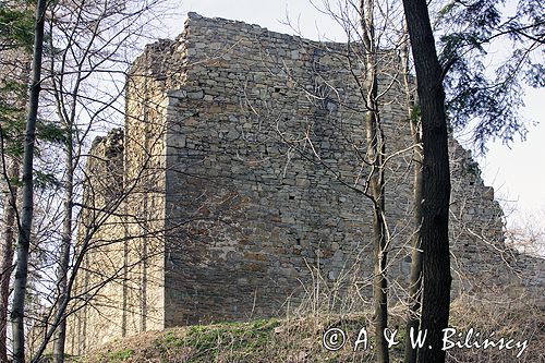 Lanckorona ruiny zamku z XIV wieku na Lanckorońskiej Górze