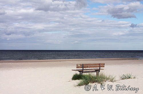 piaszczysta plaża w Roja, Zatoka Ryska, Łotwa sandy beach in Roja, Riga Bay, Latvia