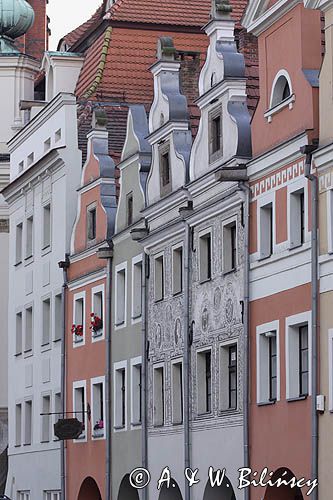 Legnica, kamieniczki na Rynku, polichromie