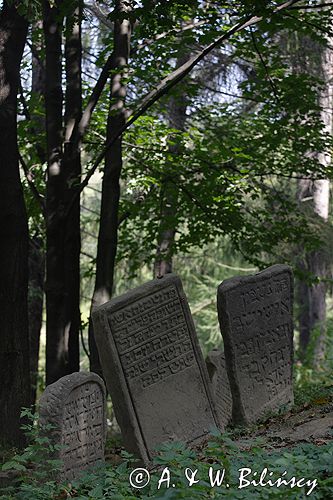 LESKO - kirkut, cmentarz żydowski, Bieszczady