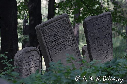 LESKO - kirkut, cmentarz żydowski, Bieszczady