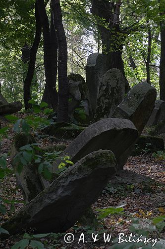 LESKO - kirkut, cmentarz żydowski, Bieszczady