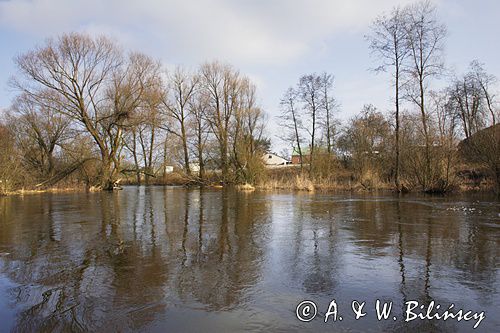 Rzeka Liwiec, Mazowsze