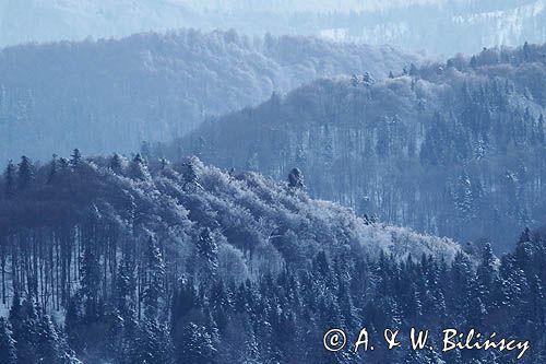 Zima, widok z Połoniny Wetlińskiej, Bieszczady