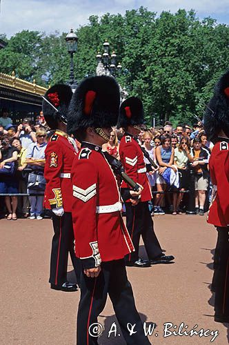 Parada przed Buckingham Palace, Londyn, Anglia