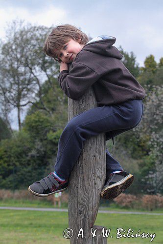 na placu zabaw, Lough Key Forest and Activity Park, rejon Górnej Shannon, Irlandia, Lough Key Forest and Activity Park