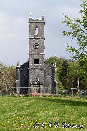 Ruiny kościoła w Lough Key, rejon Górnej Shannon, Irlandia, Lough Key Forest and Activity Park