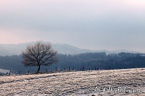 łąki koło Lutowisk, Bieszczady