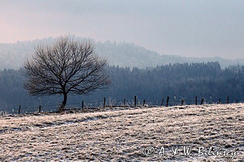 łąki koło Lutowisk, Bieszczady