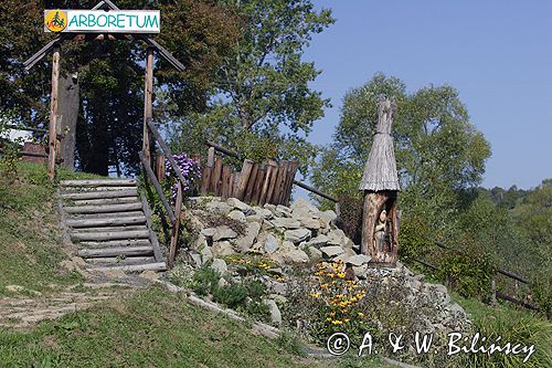 Lutowiska, Bieszczady, szlak turystyczny 'Trzy kultury', arboretum przyszkolne