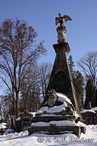 Lwów, grób na Cmentarzu Łyczakowskim, Ukraina