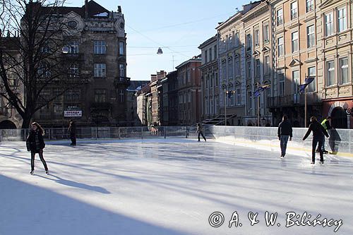 Lwów, na Rynku, Ukraina