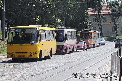 Lwów, Marszrutka