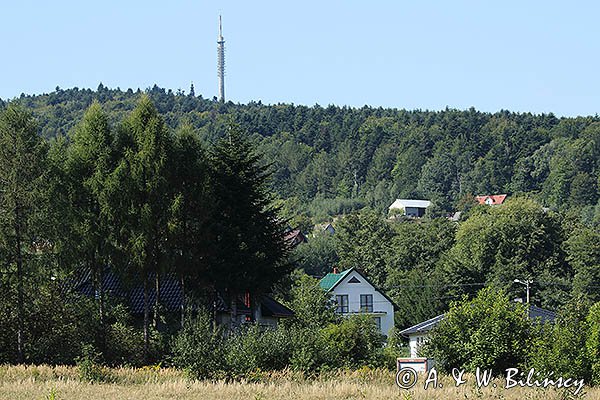 Łysa Góra, Łysogóry, Góry Świętokrzyskie, Kielecczyzna