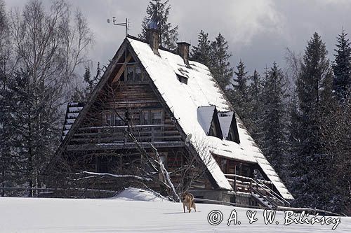 bacówka na Maciejowej, Gorce