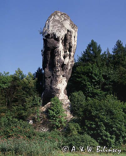 Maczuga Herkulesa, Ojcowski Park Narodowy