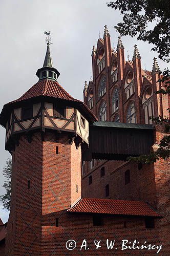 Zamek krzyżacki w Malborku