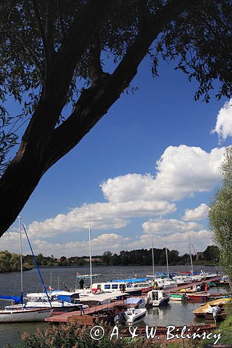 marina Uraz, rzeka Odra