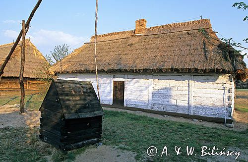 Maurzyce skansen koło Łowicza, studnia żuraw