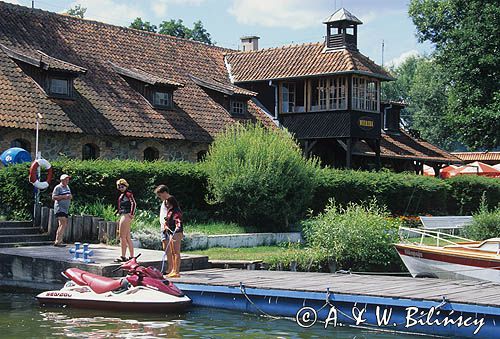 Wierzba nad jeziorem Bełdany, Mazury, Polska