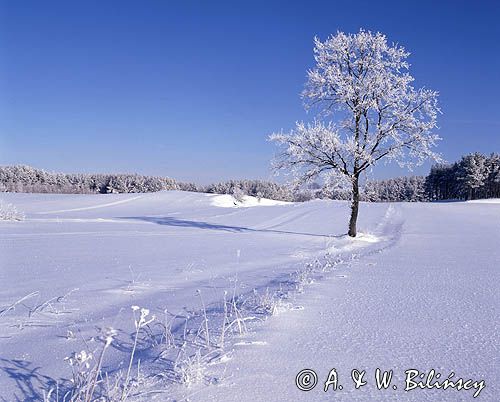 Mazury Garbate