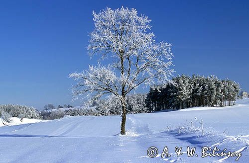 Mazury Garbate zima