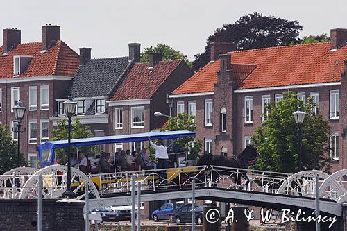 Middelburg, zwiedzanie miasta bryczką, Holandia