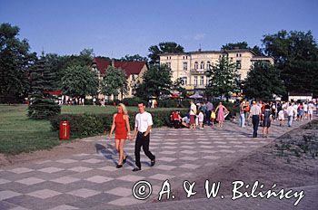 Międzyzdroje, Wyspa Wolin