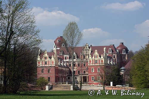 Park Mużakowski, Łęknica, lista światowego dziedzictwa UNESCO widok z parku po stonie polskiej na Nowy Zamek po stronie niemieckiej