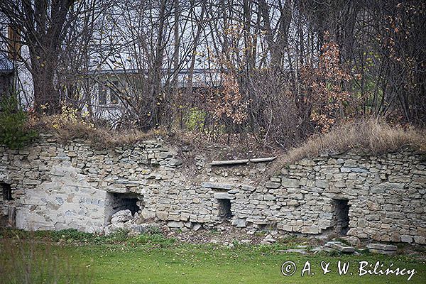 Myczkowce, ruiny spichlerza dworskiego