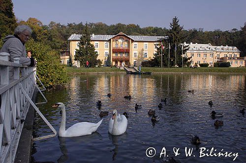 Nałęczów, Sanatorium Książę Józef w Parku Zdrojowym