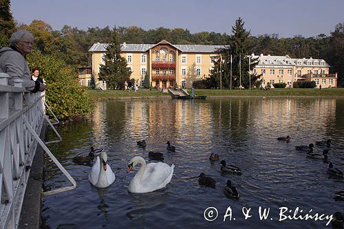 Nałęczów, Sanatorium Książę Józef w Parku Zdrojowym