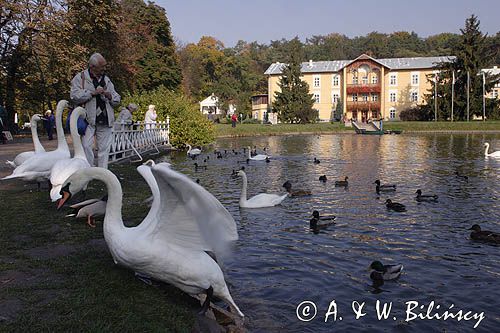 Nałęczów, Sanatorium Książę Józef w Parku Zdrojowym