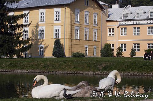 Nałęczów, Sanatorium Książę Józef w Parku Zdrojowym