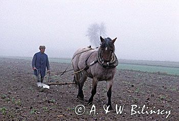 Poland Mazowsze region