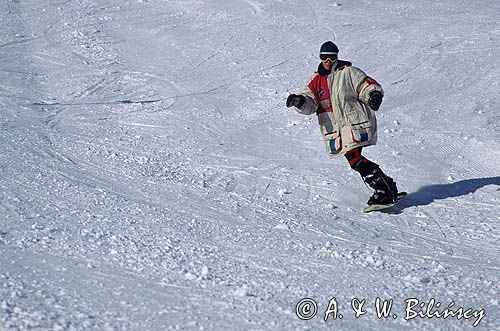 snowboardzista