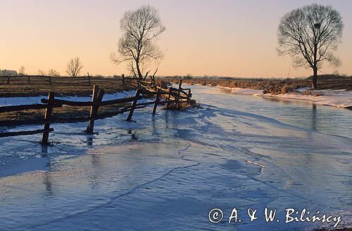 nad Narwią koło Bindziugi, Podlasie