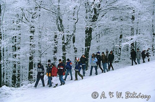 na Szyndzielni, Beskid Śląski