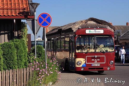 autobus w Nidzie na Mierzei Kurońskiej, Zalew Kuroński, Neringa, Litwa bus, Nida village, Curonian Spit, Curonian Lagoon, Neringa, Lithuania