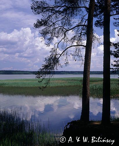 Jezioro Nidzkie, Mazury, szlak Wielkich Jezior Mazurskich, Polska