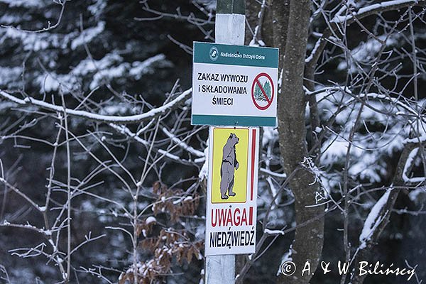 Znak Uwaga niedźwiedzie i zakaz wywożenia smieci do lasu