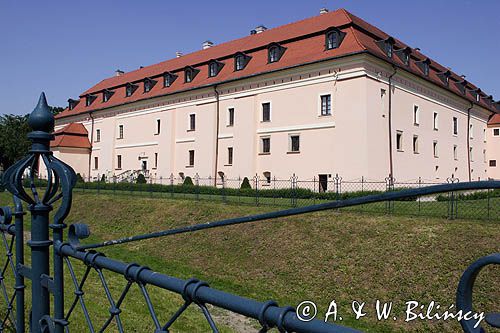 Niepołomice, zamek