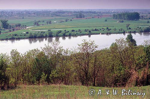 rzeka Wisła, Nizina Nadwiślańska, Kotlina Sandomierska panorama z Gór Pieprzowych koło Sandomierza