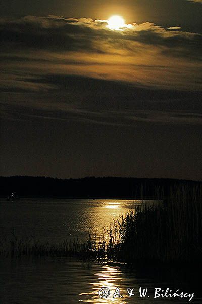 Księżycowa noc nad Wisłą Śmiałą