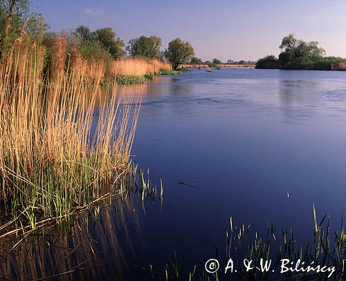 Odra, Park Krajobrazowy Dolnej Odry