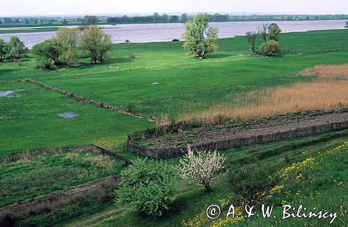 dolna Odra Cedyński Park Krajobrazowy